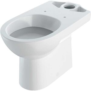 Wc a Parete Geberit Selnova - Design Moderno in Ceramica Wc a Parete Geberit Selnova - Design Moderno in Ceramica