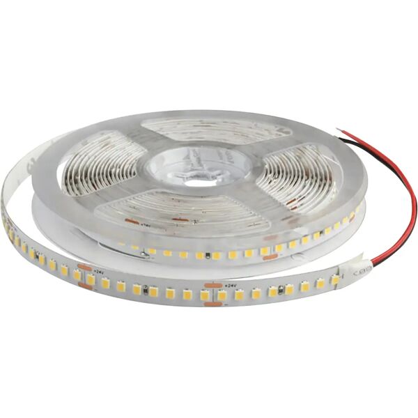 tecnomat strip led luxen 24v 16w/m 1850 lm/m 6500k luce fredda 5m ip20 dimmerabile