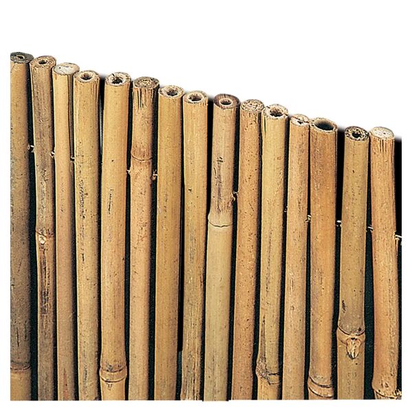 tecnomat arella bambu 2x3 m con filo metallico Ø circa 15 mm prodotto naturale