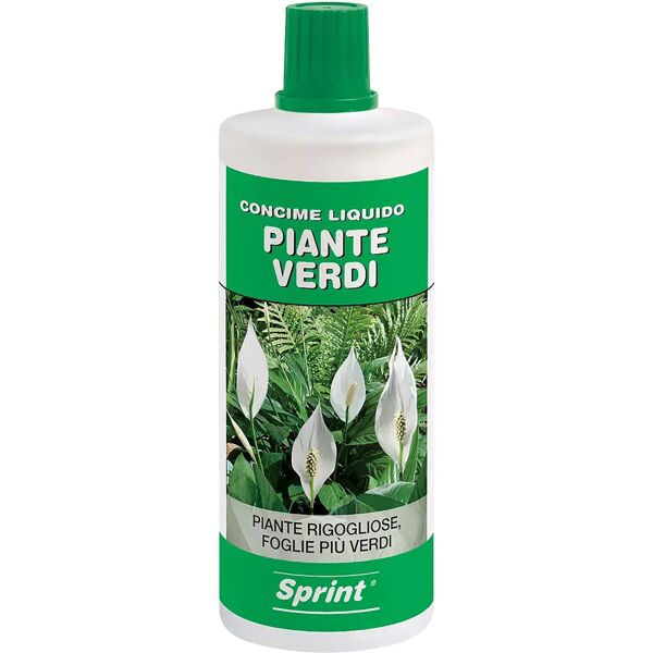 tecnomat concime piante verdi liquido sprint pronto effetto npk 6.5.5 +b+cu+mn+zn+fe 1 l