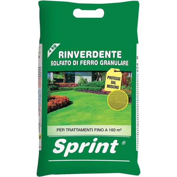 tecnomat concime prato-giaridno granulare sprint ferro plus pronto effetto fe 12 +mn+mg 4 kg