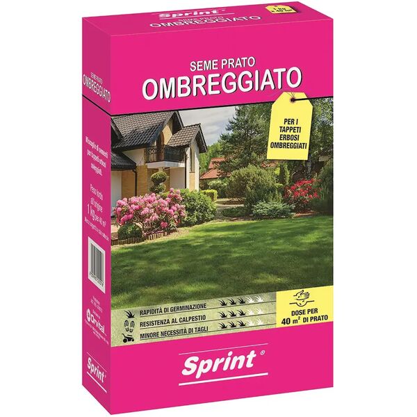 sprint seme prato ombreggiato  per 40 m² 1 kg