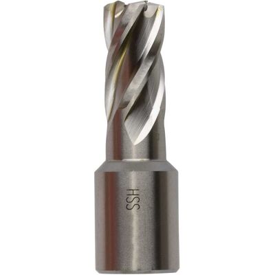 Krinø Punta Weldon Ø 12 mm - Utensili di Perforazione e Taglio Krinø Punta Weldon Ø 12 mm - Utensili di Perforazione e Taglio