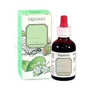 Erbamea Melissa 50ml Biologica Estratto Idroalcolico