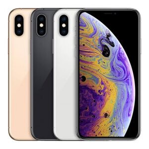 Apple iPhone XS Ricondizionato 256 GB Argento 256 GB Argento