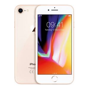 Apple iPhone 8 Ricondizionato 64 GB Oro 64 GB Oro Apple iPhone 8 Ricondizionato 64 GB Oro 64 GB Oro
