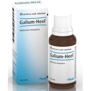 Guna Galium Heel Gocce 30 ml per Omeopatici