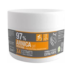 Arnica 97% Gel per contrastare il Traumi a Muscoli e Articolazioni 250 ml