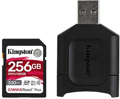 Kingston Scheda SD , 256 GB, Scheda SDXC, MLPR2/256GB Kingston Scheda SD , 256 GB, Scheda SDXC, MLPR2/256GB