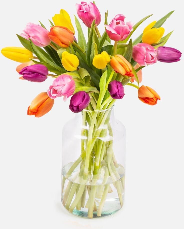 The Colvin Co Mazzo di Tulipani Gialli, arancioni e rosa - Colors Flow - Fiori a domicilio - Colvin The Colvin Co Mazzo di Tulipani Gialli, arancioni e rosa - Colors Flow - Fiori a domicilio - Colvin