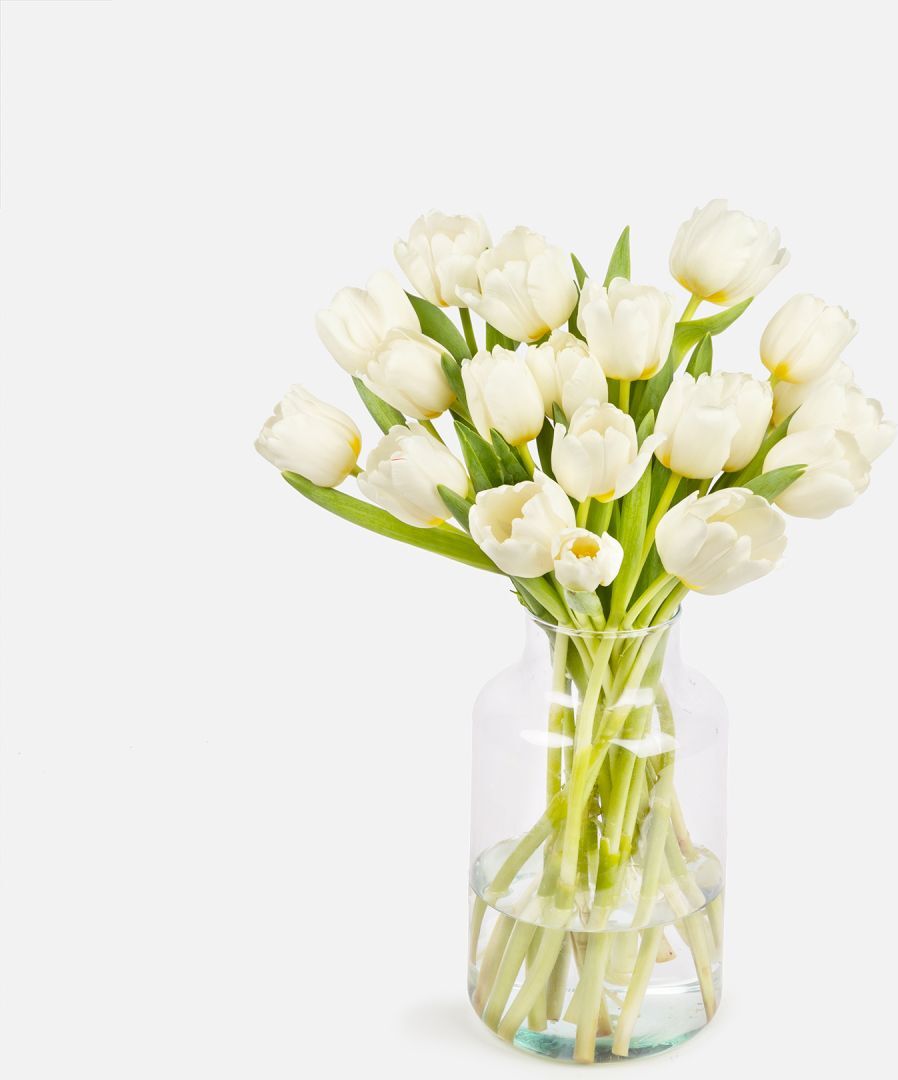 The Colvin Co Mazzo di Tulipani Bianchi - Frost White - Fiori a domicilio - Colvin The Colvin Co Mazzo di Tulipani Bianchi - Frost White - Fiori a domicilio - Colvin