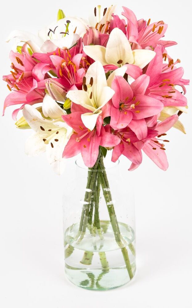 The Colvin Co Mazzo di Gigli Bianchi e Rossi -  Paris - Fiori a domicilio - Colvin The Colvin Co Mazzo di Gigli Bianchi e Rossi -  Paris - Fiori a domicilio - Colvin