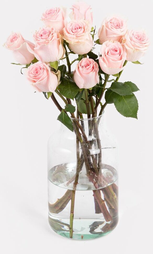 The Colvin Co Mazzo di Rose Rosa - Sweet Dolomiti - Fiori a domicilio - Colvin The Colvin Co Mazzo di Rose Rosa - Sweet Dolomiti - Fiori a domicilio - Colvin