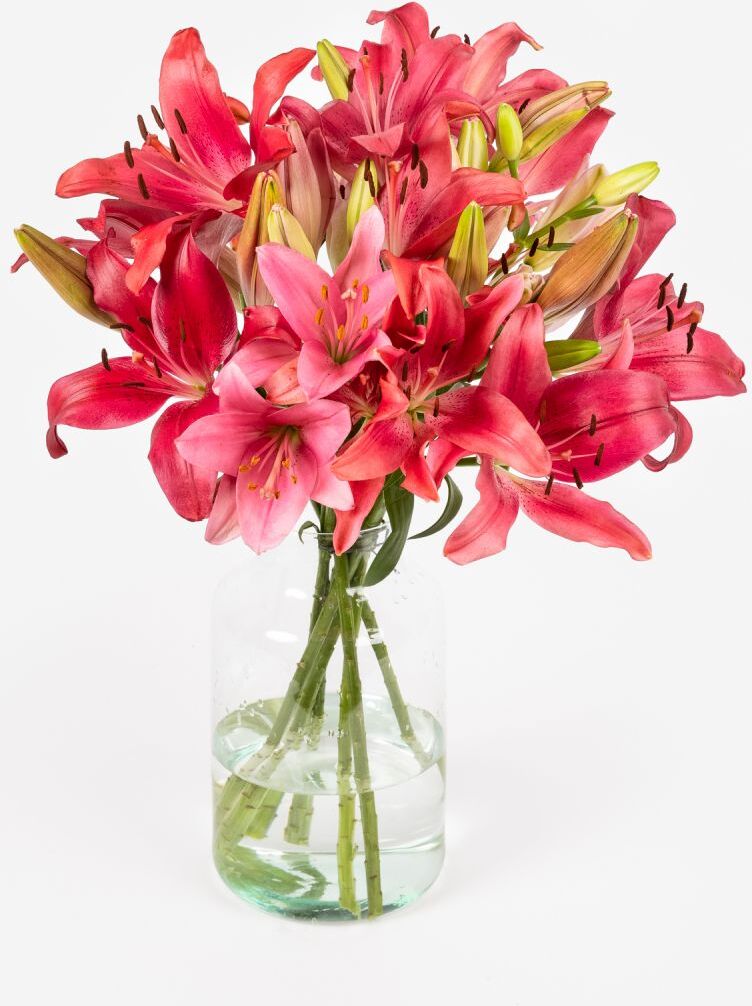 The Colvin Co Mazzo di Gigli Rosa e Rossi  - Tokio - Fiori a domicilio - Colvin The Colvin Co Mazzo di Gigli Rosa e Rossi  - Tokio - Fiori a domicilio - Colvin