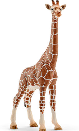 Schleich-s Femmina Di Giraffa Schleich-s Femmina Di Giraffa