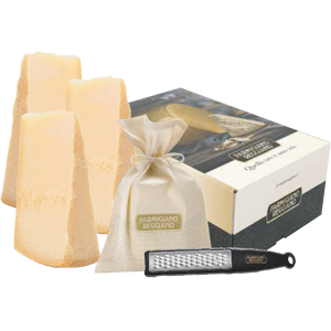 Parmigiano Reggiano Kit Classic   Villa Curta