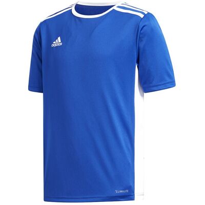 ADIDAS maglia calcio entrada 18 team blu royal bianco bambino 5-6 Anni ADIDAS maglia calcio entrada 18 team blu royal bianco bambino 5-6 Anni