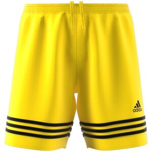 ADIDAS short entrada 14 yellow/black YXS