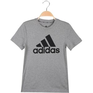 Adidas HE9281 T-shirt manica corta da ragazzo T-Shirt Manica Corta bambino Grigio taglia 15/16