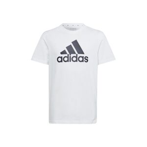 Adidas T-shirt manica corta Essentials ragazzi IB1670 T-Shirt e Top unisex bambino Bianco taglia 15/16