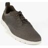 Timberland OXFORD GRAYDON Sneakers uomo stringate Sneakers Basse uomo Verde taglia 42