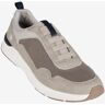 Lumberjack TRAVIS Sneakers slip on uomo Slip On uomo Beige taglia 45