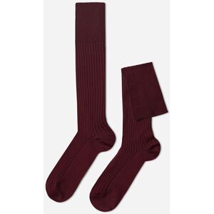 Calzedonia Calze Lunghe a Coste in Filo di Scozia da Uomo Uomo Bordeaux 42-43