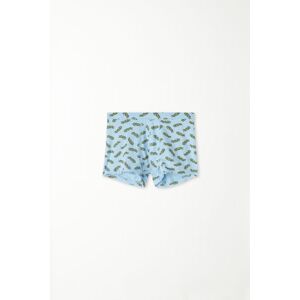 Tezenis Boxer Basic Bimbo in Cotone Colorato Bambino Stampa Tamaño 12-13