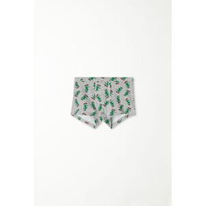 Tezenis Boxer Basic Bimbo in Cotone Colorato Bambino Grigio Tamaño 12-13