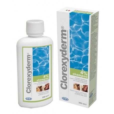 I.C.F. IND.CHIMICA FINE Srl Icf Clorexyderm Shampoo 4% 250ml