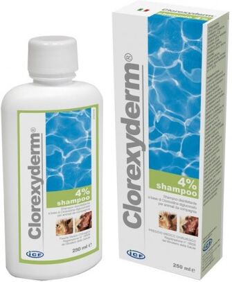 I.C.F. IND.CHIMICA FINE Srl Icf Clorexyderm Shampoo 4% 250ml I.C.F. IND.CHIMICA FINE Srl Icf Clorexyderm Shampoo 4% 250ml