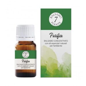 Zeta Farmaceutici 7 Piante - Essenza Purifica Balsamo Concentrato, 15ml