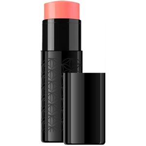 Euphidra Get The Glow Blush Cremoso in Stick Colore Pinky, 6ml