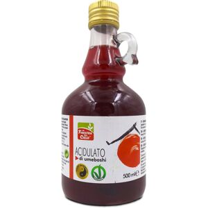 biotobio srl fsc acidulato umeboshi  500ml