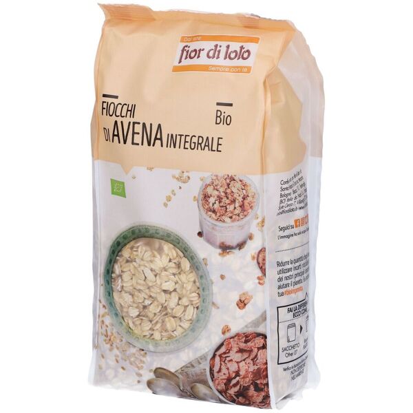 biotobio srl fiocchi di avena bio 500 g