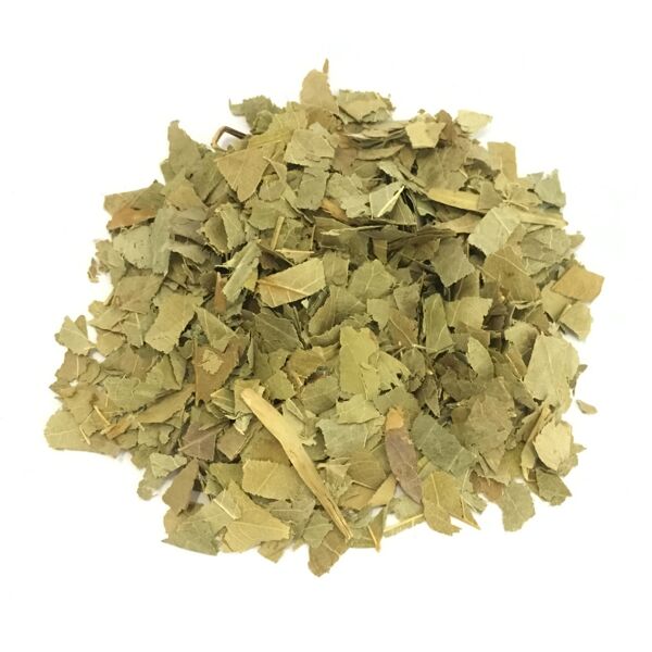 antica farmacia orlandi frassino foglie taglio tisana 100 gr
