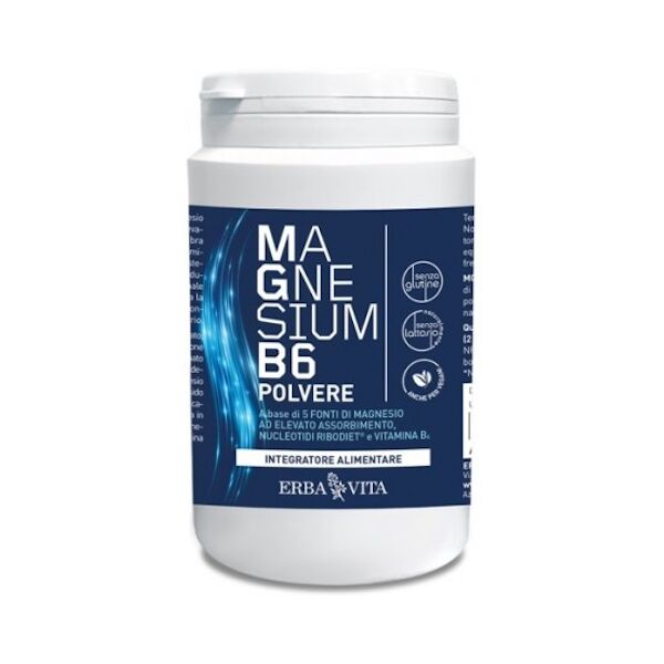 erba vita magnesium b6 polvere 200g erbavita