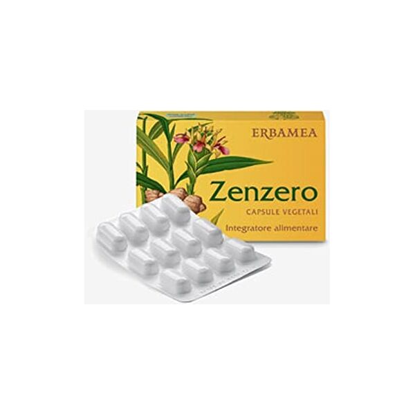 erbamea srl erbamea zenzero 24 capsule