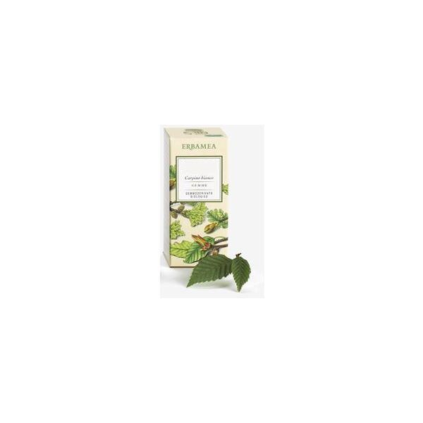 erbamea srl ficus carica gemme erbamea