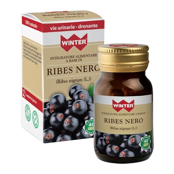 gdp srl winter ribes nero 40cps veg