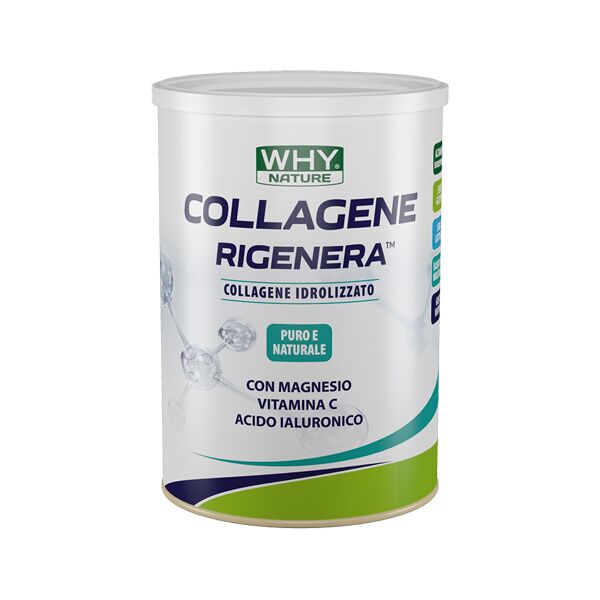 biovita srl whynature collagene rigen 330g