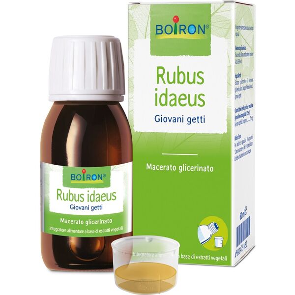 boiron srl bo.rubus idaeus es i 60ml