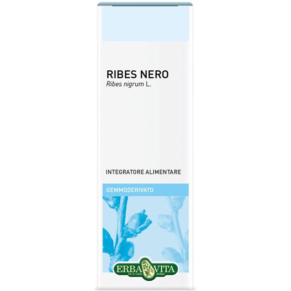 erba vita ribes nero 50ml gemmoderivato erbavita