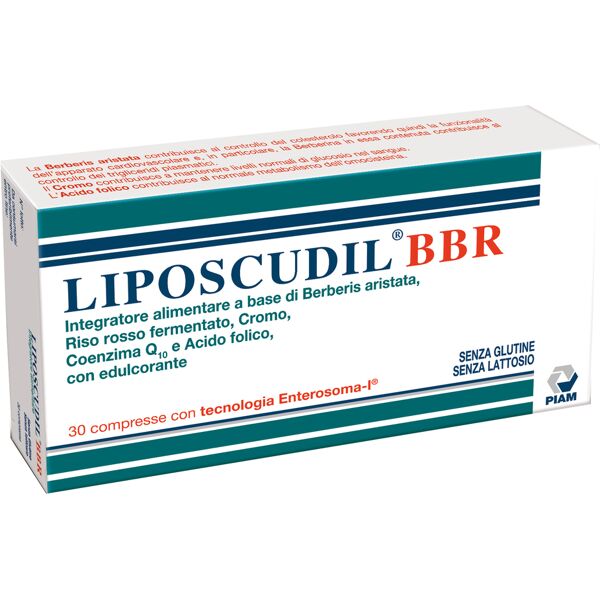 piam farmaceutici spa liposcudil bbr 30 compresse