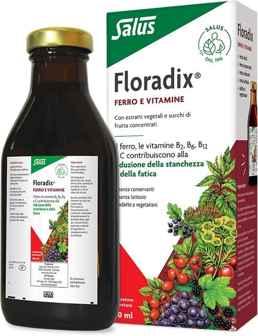 salus haus gmbh & co kg floradix integratore ferro 500ml