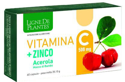 natura service srl vitamina c 500mg+zi/ac/ba60cps