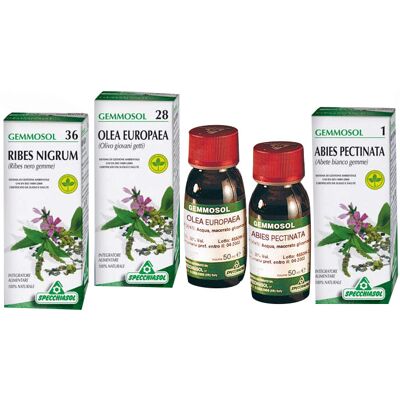 Integratore alimentare Gemmosol 28 Olivo - Supporta la circolazione Integratore alimentare Gemmosol 28 Olivo - Supporta la circolazione