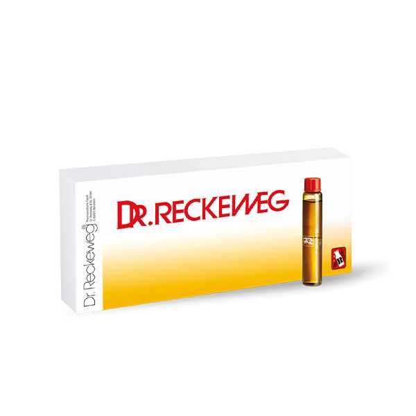 dr.reckeweg & co. gmbh reckeweg vc 15 forte 12 fiale da 10ml
