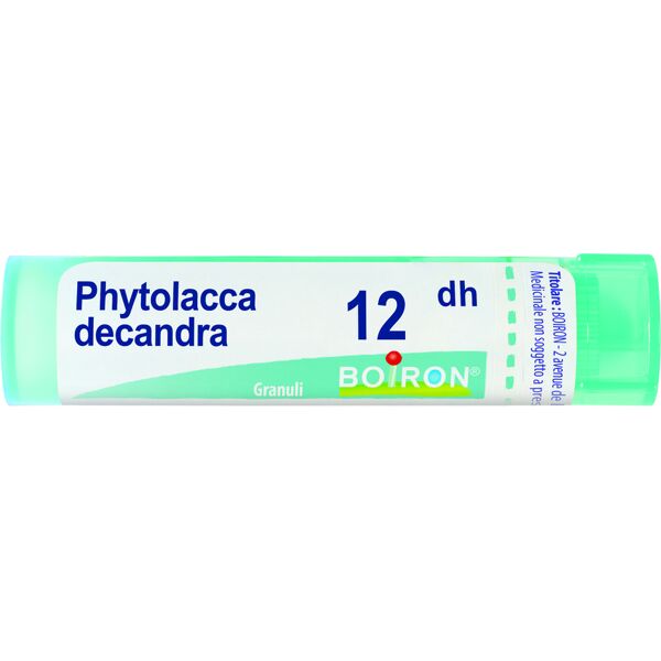 boiron srl phytolacca decandra 12dh 80gr boiron