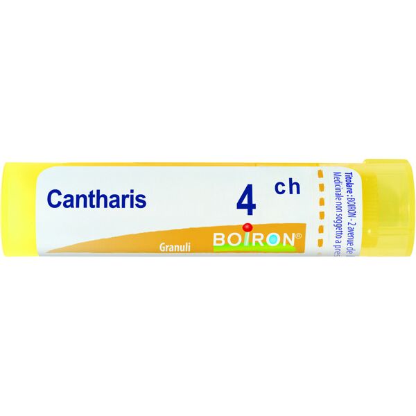 boiron srl cantharis 4ch granuli multidose boiron